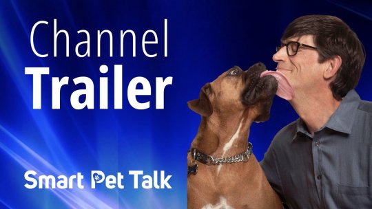 Smart Pet Talk: Introduction