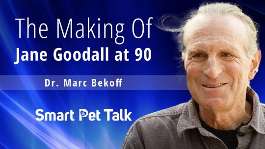 Smart Pet Talk: The Making of Jane Goodall at 90 with Dr. Marc Bekoff - Episode 2