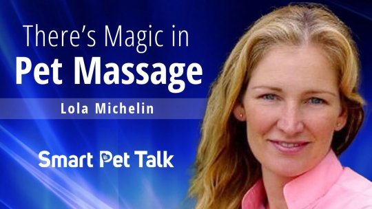 Smart Pet Talk: There's Magic in Pet Massage with Lola Michelin - Episode 6