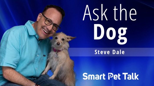 Smart Pet Talk: Ask the Dog with Steve Dale - Episode 13