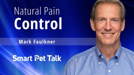 Smart Pet Talk: Natural Pain Control with Mark Faulkner - Episode 14