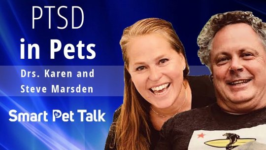 Smart Pet Talk: PTSD in Pets | Understanding Trauma, Anxiety & Recovery with Drs. Karen and Steve Marsden - Episode 15